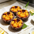 Fresh Premium Sea Urchin Lanterns