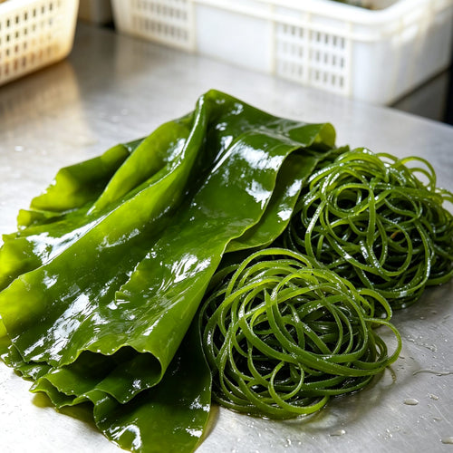Fresh Natural Green Seaweed Noodles